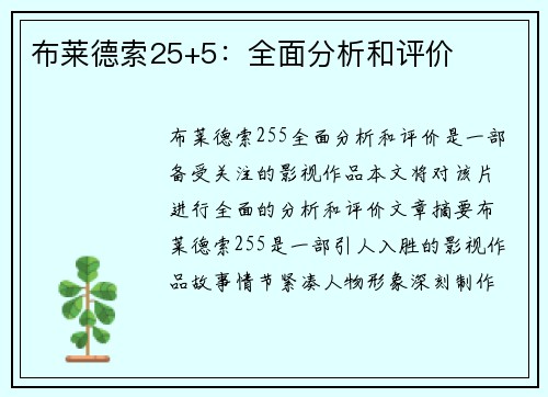 布莱德索25+5：全面分析和评价